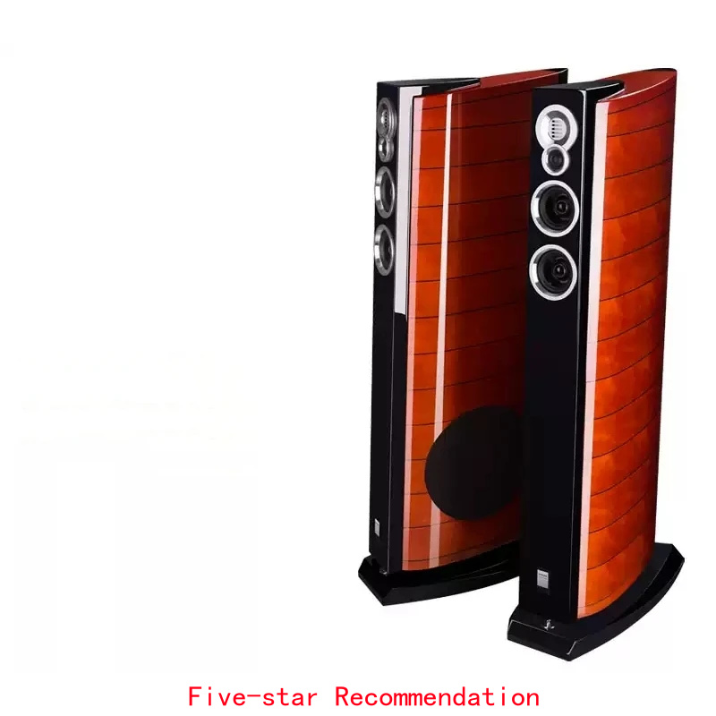 Home Cinema High End - DX-5 10 inç Bas Zemin Hoparlörleri,